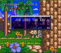 Joe &amp; Mac 2: Lost in the Tropics